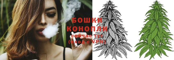 мдпв Алагир