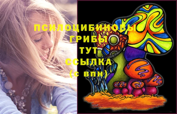 2c-b Медвежьегорск